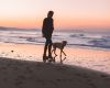 Foto door Humphrey Muleba via Pexels